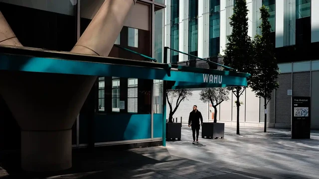条目使用步骤的抽象光影配图，柔和氛围示意。