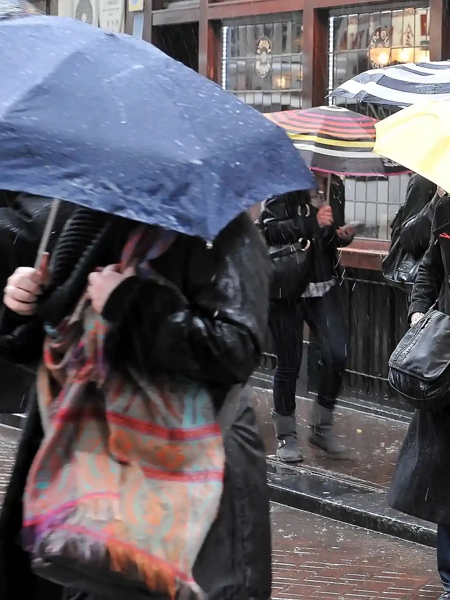 雨天街道上撑伞的人群，都市情感氛围配图